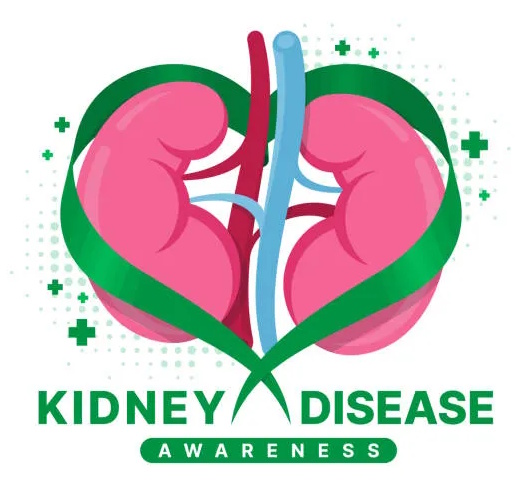 Kidney Disease Awareness image source: istockphoto.com